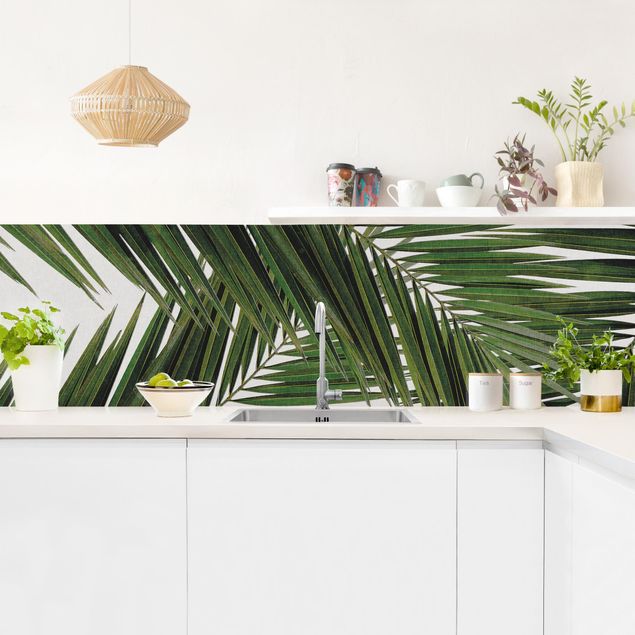 rivestimenti moderni cucina Vista attraverso le foglie di palma verde