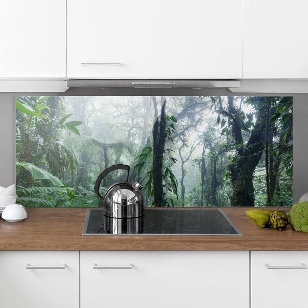paraschizzi cucina vetro magnetico Foresta nuvolosa di Monteverde
