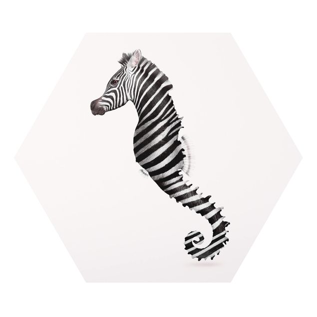 Esagono in forex - Seahorse Con Zebra Stripes