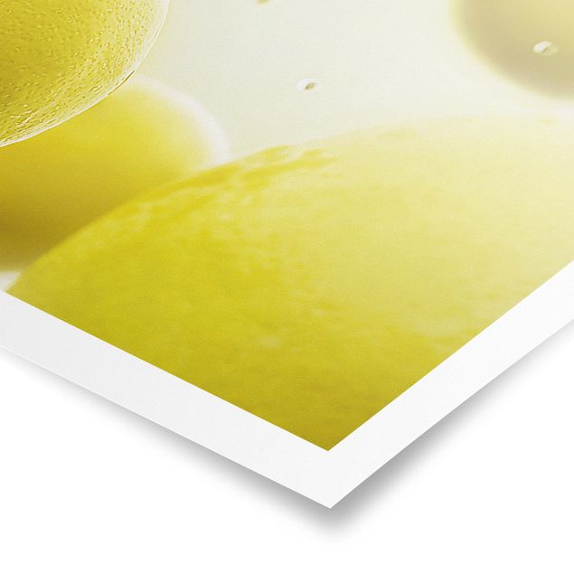 Poster - Limone in acqua - Panorama formato orizzontale