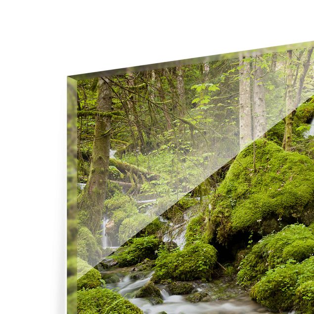 Quadro in vetro - Mossy Stones Switzerland - Panoramico