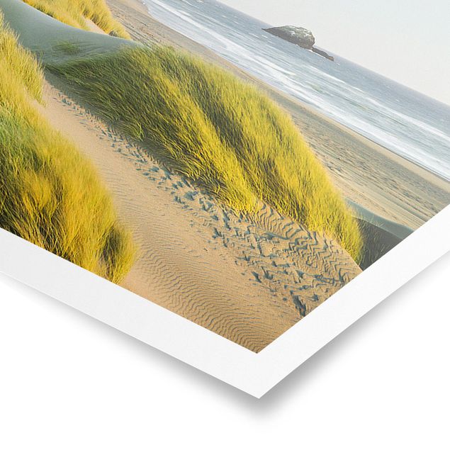 Poster - Dune ed erbe Al Mare - Panorama formato orizzontale