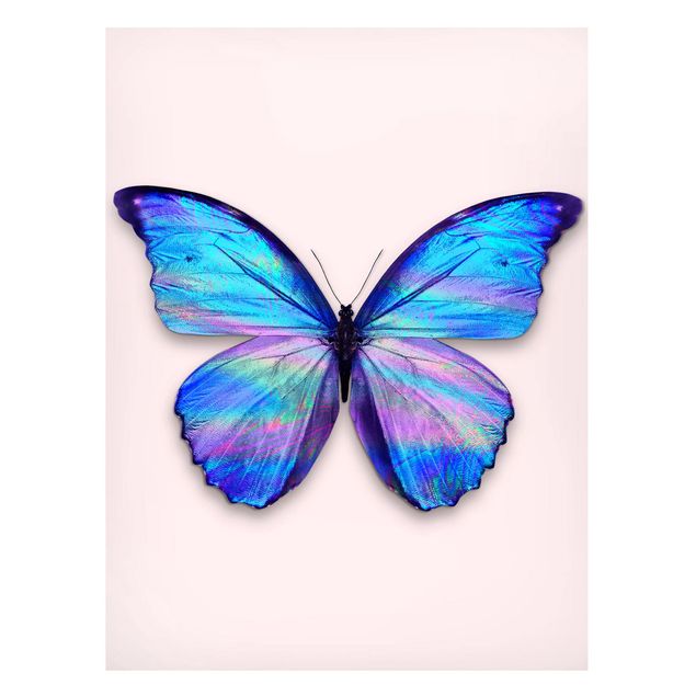 Lavagna magnetica bianco Farfalla olografica