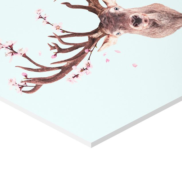 Esagono in forex - Cervo con Cherry Blossoms