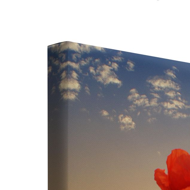 Stampa su tela 3 parti - Poppy Field In The Sunset - Trittico da galleria