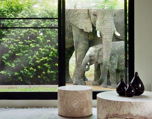 Pellicola per vetri per salone Elefante e amore