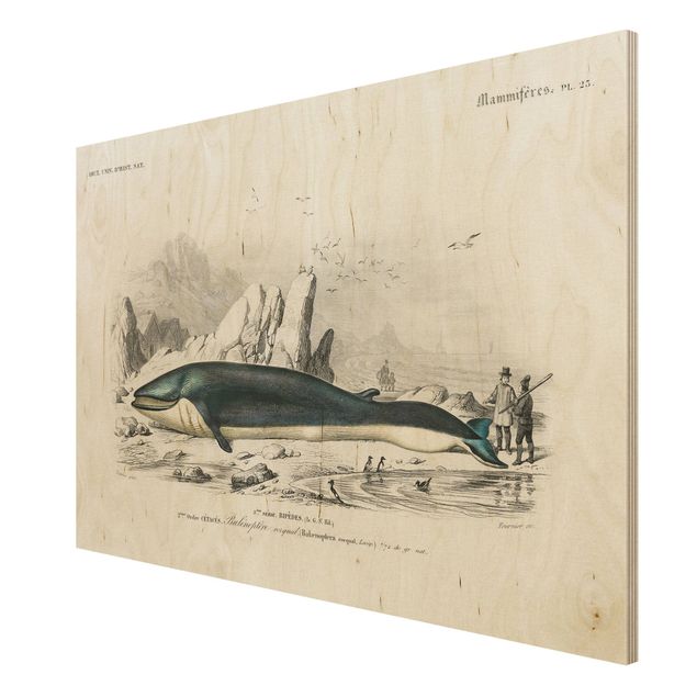 Stampa su legno - Vintage Consiglio Blue Whale - Orizzontale 2:3