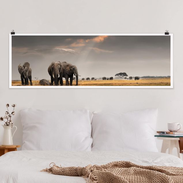 quadri con animali Elefanti nella savana
