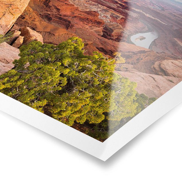 Poster - Parco Nazionale di Dead Horse Point Canyonlands Stati Uniti d'America - Quadrato 1:1