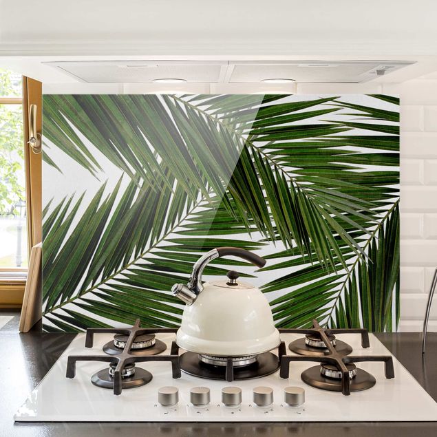 paraschizzi in vetro magnetico Vista attraverso le foglie di palma verde