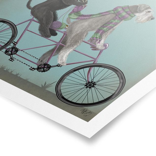 Poster - In bicicletta - Schnauzer Tandem - Verticale 4:3