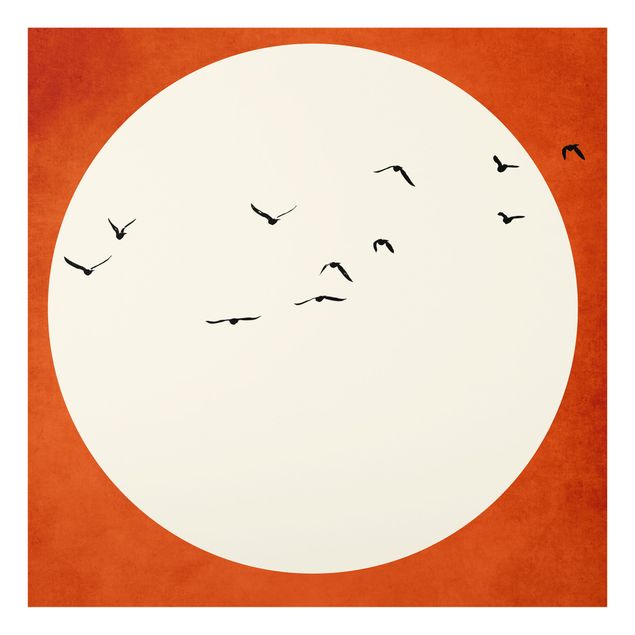 Paraschizzi in vetro - Stormo di uccelli al tramonto - Quadrato 1:1