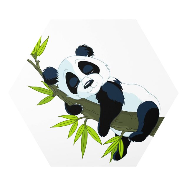 Esagono in forex - Sleeping Panda