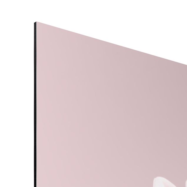 Stampa su alluminio - Dalia in lavanda rosa e bianca