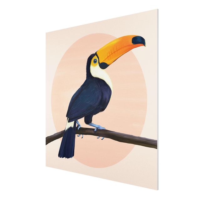 Stampa su Forex - Illustrazione Uccello Toucan pastello pittura - Quadrato 1:1