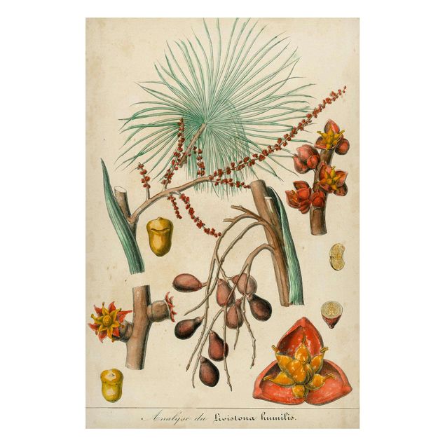 Lavagna magnetica - Consiglio Vintage Exotic Palms III - Formato verticale 2:3