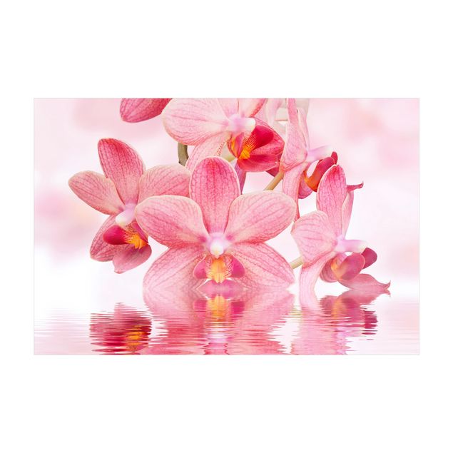 Tappeti fucsia Orchidea rosa chiaro sull'acqua