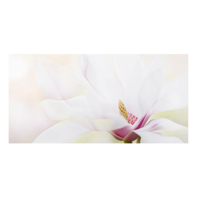 Paraschizzi in vetro - Delicate Magnolia Blossom