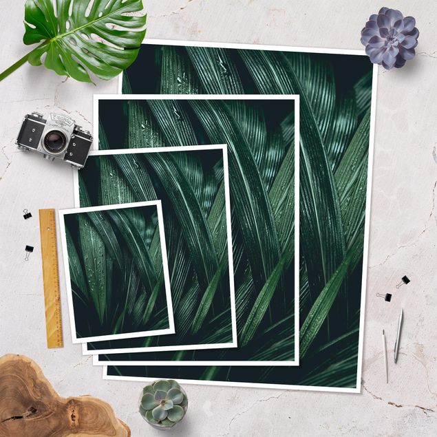 Poster - Verdi foglie di palma - Verticale 4:3