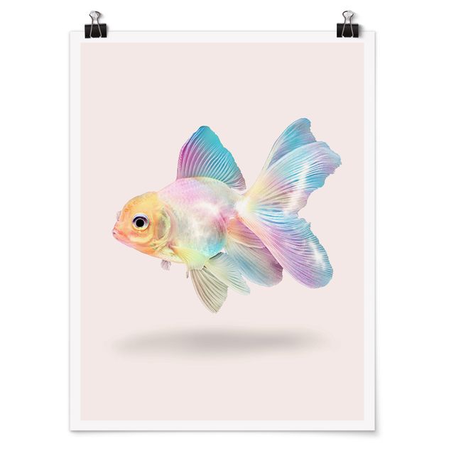 Poster - Pesce In Pastel - Verticale 4:3