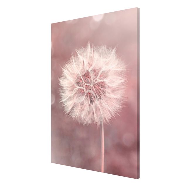 Lavagna magnetica - Dandelion rosa bokeh - Formato verticale 2:3
