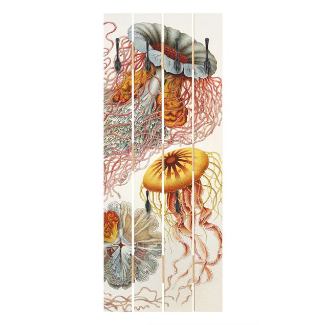 Appendiabiti in legno - Vintage Consiglio Jellyfish - Ganci cromati - Verticale