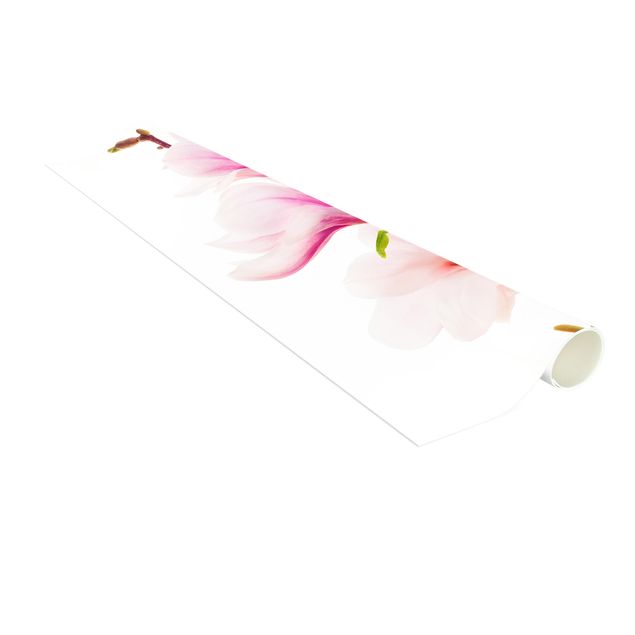 Tappeti fiori Delicato ramo di magnolia