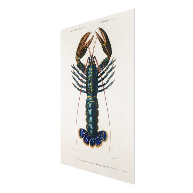 Stampa su Forex - Vintage Blue Board Lobster - Verticale 3:2