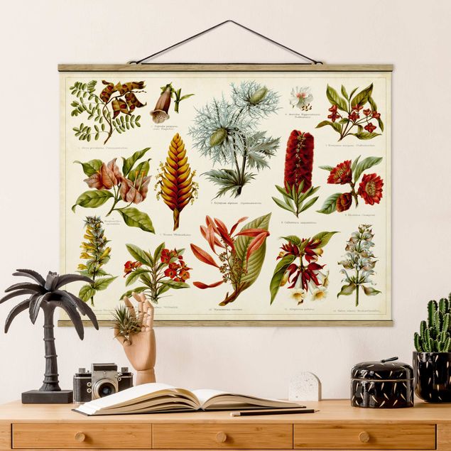 Foto su tessuto da parete con bastone - Consiglio d'epoca Tropical Botany I - Orizzontale 3:4