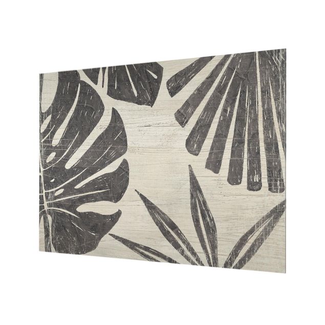 Paraschizzi in vetro - Palm Leaves Against A Light Gray