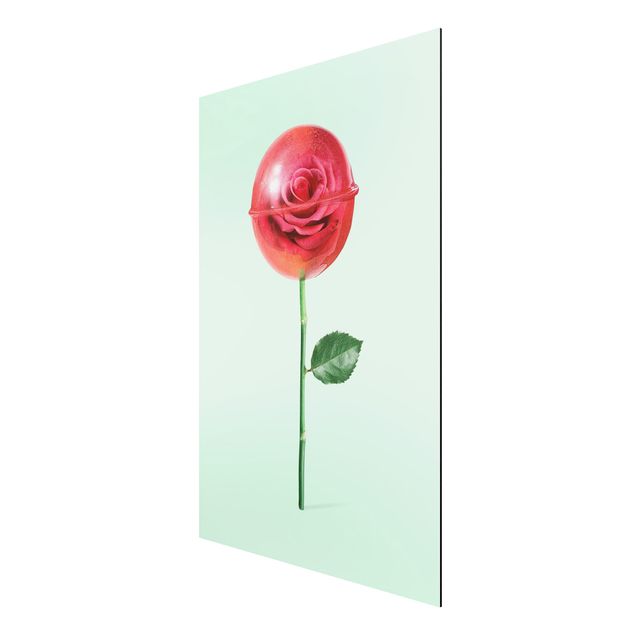 Stampa su alluminio - Rose Con Il Lollipop - Verticale 3:2