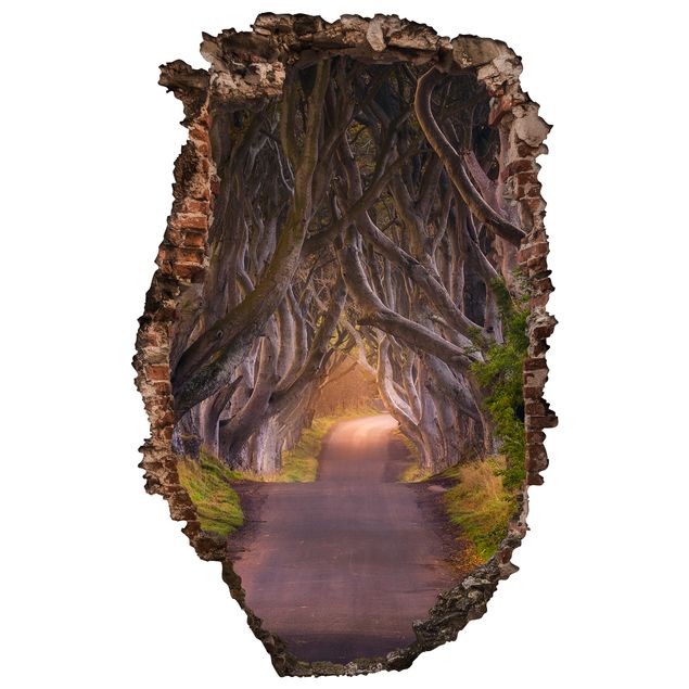 Adesivo murale 3D - Tunnel of Trees - verticale 2:3