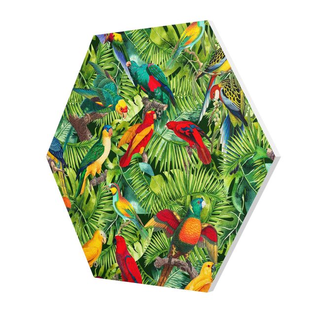 Esagono in forex - Colorato collage - Parrot In The Jungle