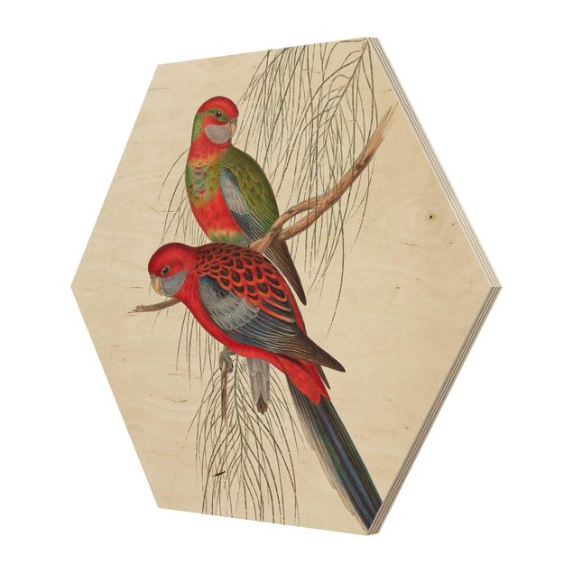 Esagono in legno - Tropical Parrot III