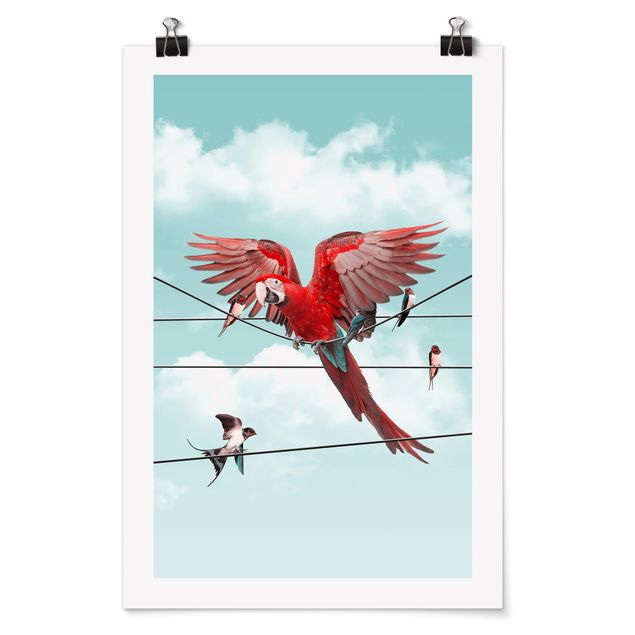 Poster - Jonas Loose - Cielo Con Uccelli - Verticale 3:2