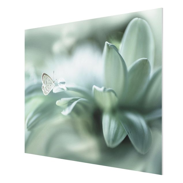 Quadro in forex - Farfalla E Gocce di rugiada In Pastel Verde - Orizzontale 4:3