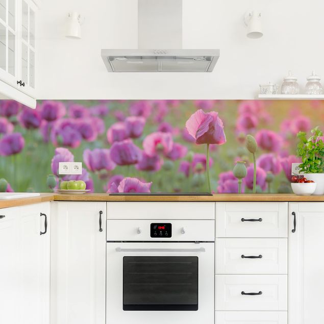 Rivestimenti cucina di plastica Prato di papaveri viola in primavera