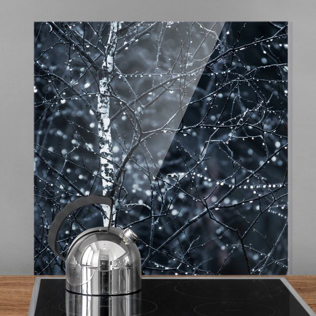paraschizzi cucina vetro magnetico Betulla scura sotto la pioggia fredda