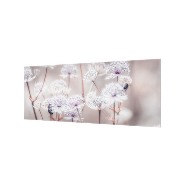 Paraschizzi in vetro - Leggeri fiori selvatici - Panorama 5:2