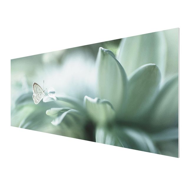 Quadro in forex - Farfalla E Gocce di rugiada In Pastel Verde - Panoramico