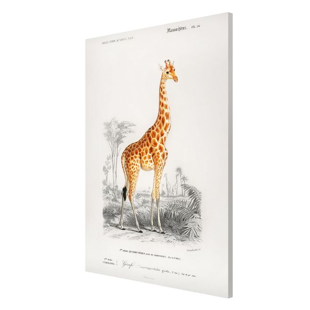 Lavagna magnetica - Vintage Consiglio Giraffe - Formato verticale 2:3