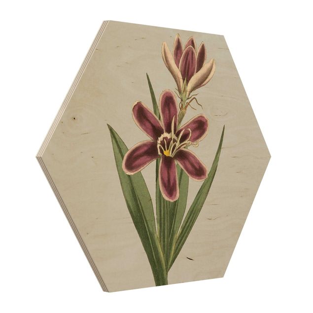 Esagono in legno - Gioielli II floreale