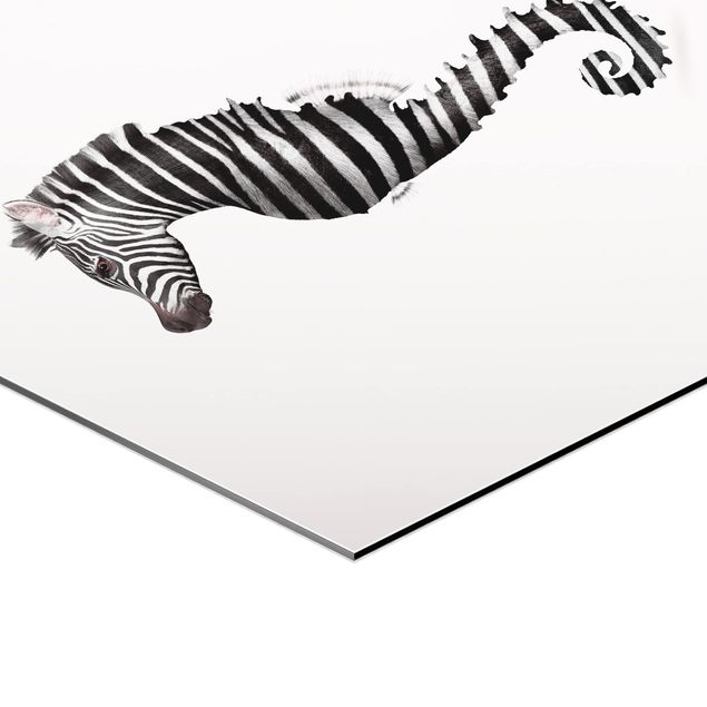 Esagono in Alluminio Dibond - Seahorse Con Zebra Stripes