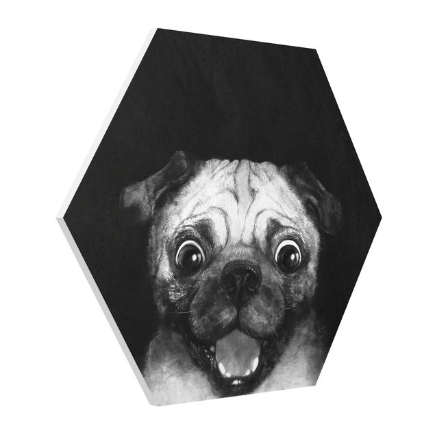Esagono in forex - Illustrazione Pug Dog Pittura Su Bianco e nero