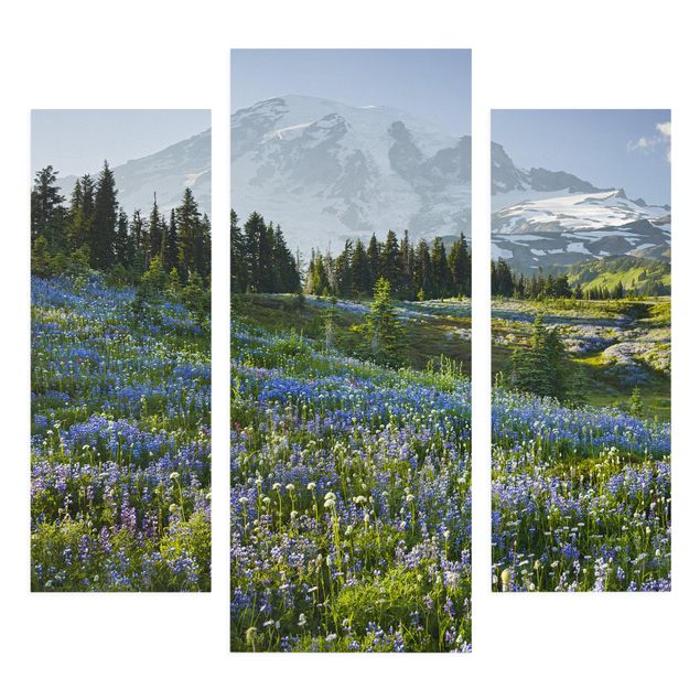 Quadri moderni per soggiorno Prato di montagna con fiori blu davanti al monte Rainier