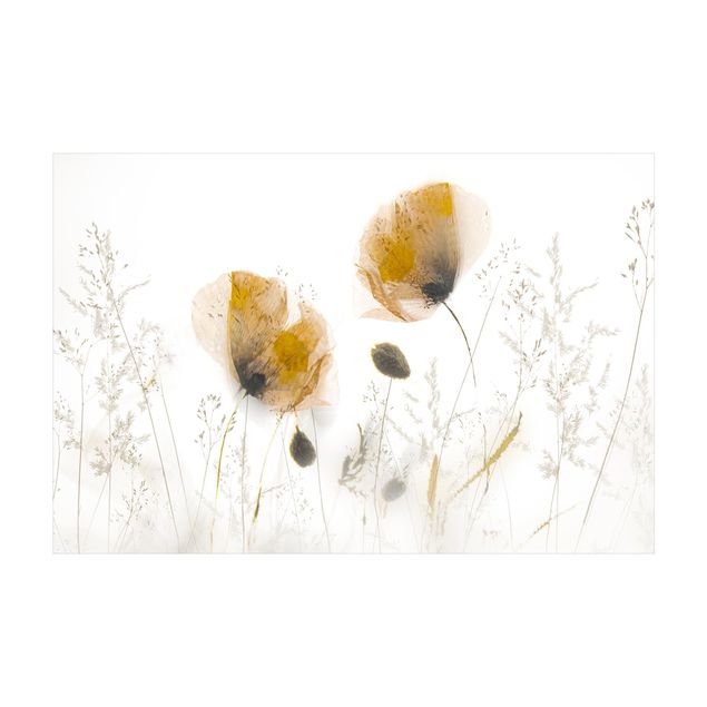 Tappeti bianchi Fiori di papavero ed erbe delicate in una nebbia soffice