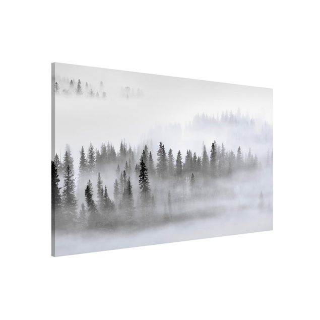 Lavagna magnetica per ufficio Nebbia nella foresta di abeti in bianco e nero