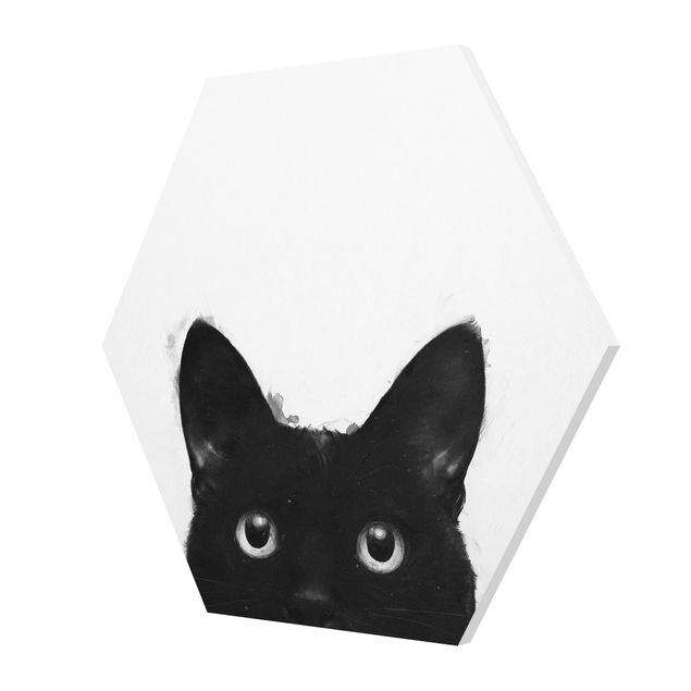 Esagono in forex - Illustrazione pittura Gatto nero su bianco