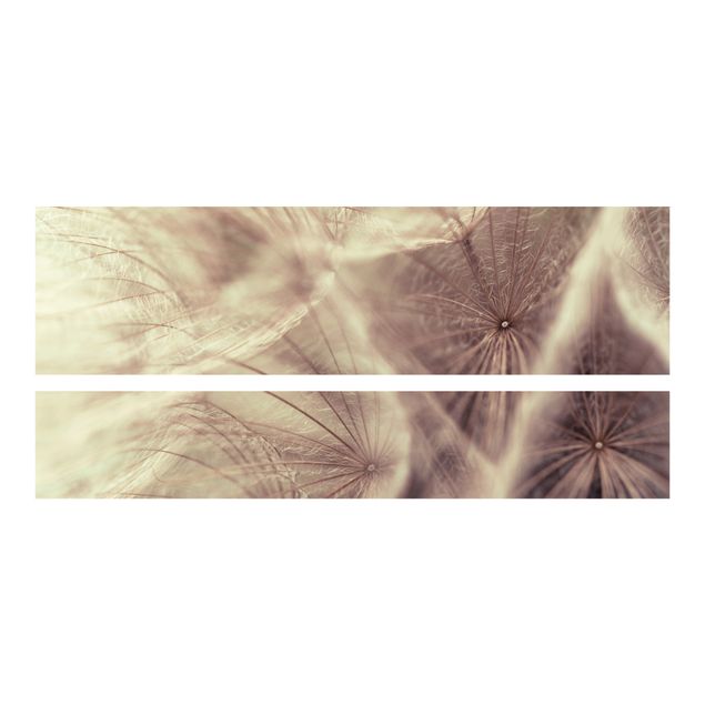 Carta adesiva per mobili IKEA - Malm Letto basso 160x200cm Detailed dandelions macro shot with vintage blur effect