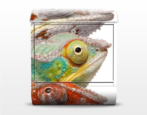 Cassetta postale Colorful Chameleon 39x46x13cm